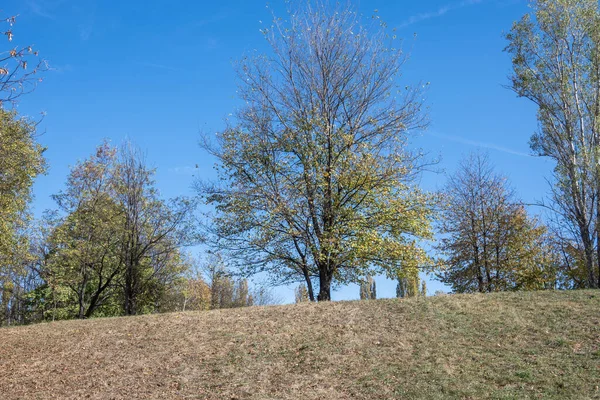 Bulgaristan 'ın Sofya kentindeki South Park' ın şaşırtıcı sonbahar manzarası