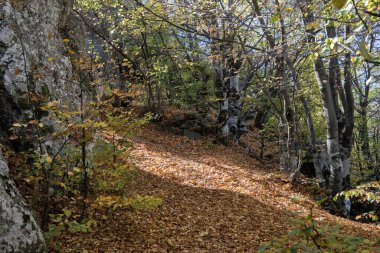 Belintash 'ın sonbahar manzarası - Bulgaristan' ın Rodop Dağlarındaki tanrı Sabazios 'a adanmış antik tapınak
