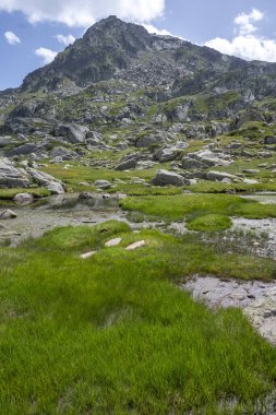 Bulgaristan 'ın Kalin tepeleri yakınlarındaki Rila Dağı' nın İnanılmaz Yaz Manzarası