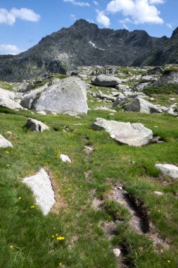 Bulgaristan 'ın Kalin tepeleri yakınlarındaki Rila Dağı' nın İnanılmaz Yaz Manzarası