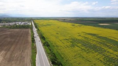 Bulgaristan 'ın Filibe Bölgesi' nin Kostievo köyü yakınlarındaki Blooming tecavüz tarlasının hava manzarası