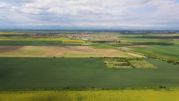 保加利亚普罗夫迪夫地区Kostievo村附近开花菜地的空中景观 — 图库视频影像