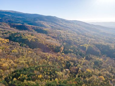 Bulgaristan 'ın Vitosha Dağı' nın şaşırtıcı sonbahar manzarası