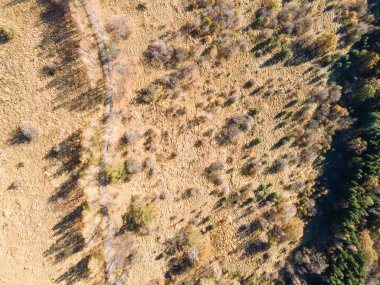Bulgaristan 'ın Vitosha Dağı' nın şaşırtıcı sonbahar manzarası