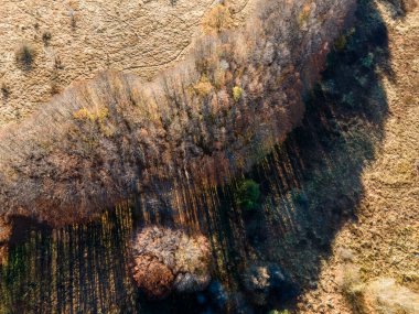Bulgaristan 'ın Vitosha Dağı' nın şaşırtıcı sonbahar manzarası