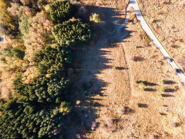 Bulgaristan 'ın Vitosha Dağı' nın şaşırtıcı sonbahar manzarası
