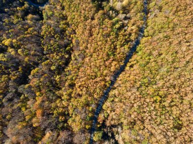 Bulgaristan 'ın Vitosha Dağı' nın şaşırtıcı sonbahar manzarası