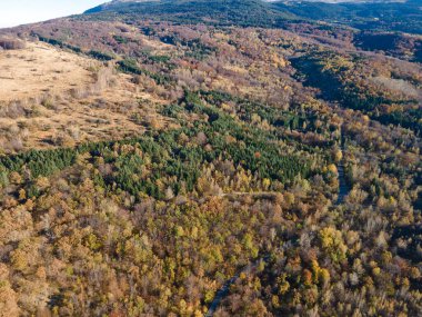 Bulgaristan 'ın Vitosha Dağı' nın şaşırtıcı sonbahar manzarası