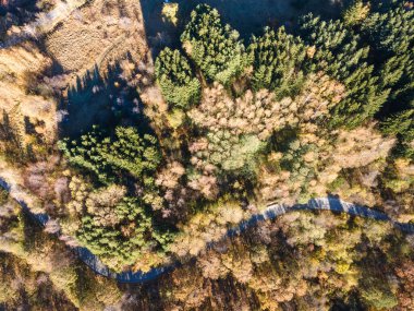 Bulgaristan 'ın Vitosha Dağı' nın şaşırtıcı sonbahar manzarası