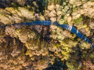 Bulgaristan 'ın Vitosha Dağı' nın şaşırtıcı sonbahar manzarası