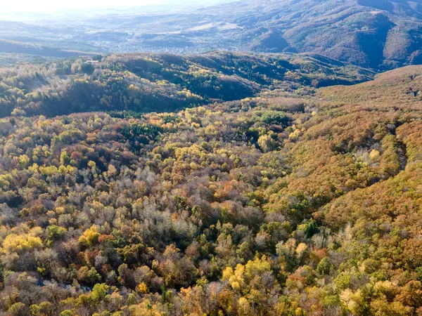 Bulgaristan 'ın Vitosha Dağı' nın şaşırtıcı sonbahar manzarası