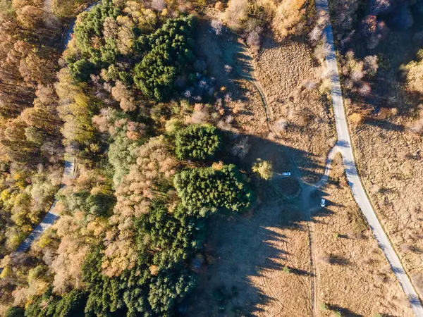 Bulgaristan 'ın Vitosha Dağı' nın şaşırtıcı sonbahar manzarası