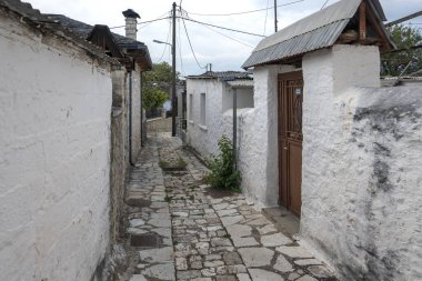 Pamvotida 'daki Ada Panoraması Ioannina, Epirus, Yunanistan