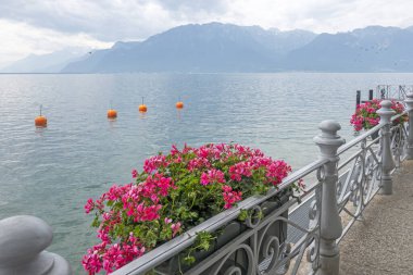 Vevey kasabasından Cenevre Gölü 'ne, Vaud Kantonu, İsviçre