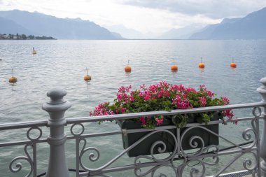 Vevey kasabasından Cenevre Gölü 'ne, Vaud Kantonu, İsviçre