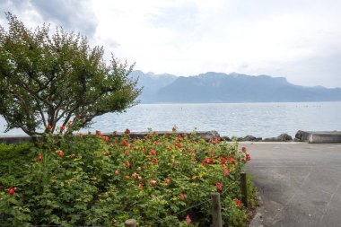 Vevey kasabasından Cenevre Gölü 'ne, Vaud Kantonu, İsviçre