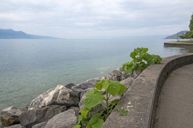 Vevey kasabasından Cenevre Gölü 'ne, Vaud Kantonu, İsviçre