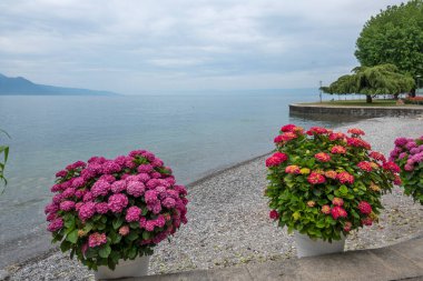 Vevey kasabasından Cenevre Gölü 'ne, Vaud Kantonu, İsviçre