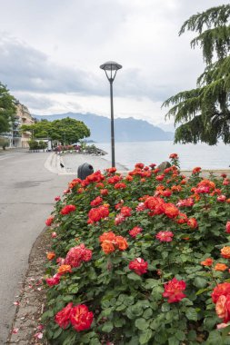 Vevey kasabasından Cenevre Gölü 'ne, Vaud Kantonu, İsviçre