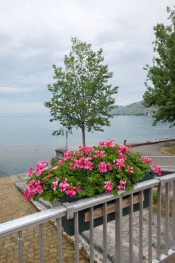 Vevey kasabasından Cenevre Gölü 'ne, Vaud Kantonu, İsviçre