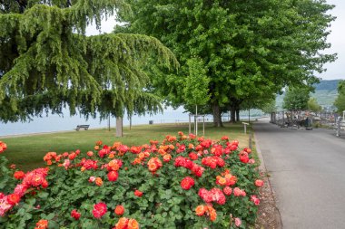Vevey kasabasından Cenevre Gölü 'ne, Vaud Kantonu, İsviçre