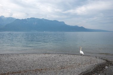 Vevey kasabasından Cenevre Gölü 'ne, Vaud Kantonu, İsviçre