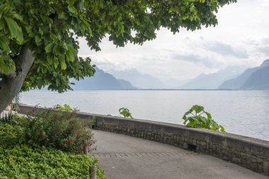 Vevey kasabasından Cenevre Gölü 'ne, Vaud Kantonu, İsviçre