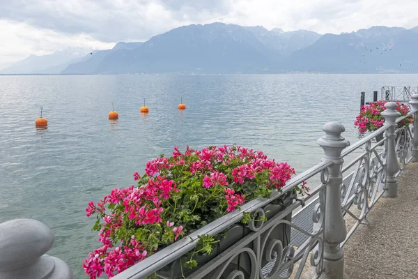 Summer Panorama from town of Vevey to Lake Geneva, Canton of Vaud, Switzerland