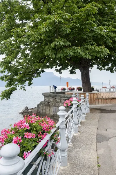 stock image Summer Panorama from town of Vevey to Lake Geneva, Canton of Vaud, Switzerland