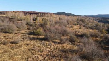Bulgaristan 'ın Vitosha Dağı' nın İnanılmaz Sonbaharı