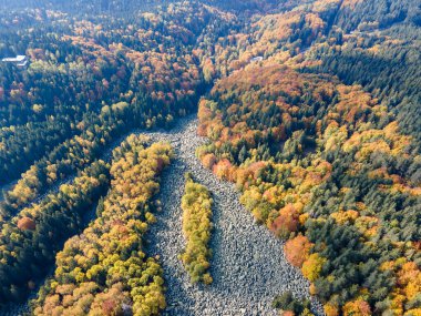 Bulgaristan 'ın başkenti Sofya' nın Vitosha Dağı 'ndaki Zlatnite Mostove (Altın Köprüler) adlı taştan nehrin hava sonbahar manzarası