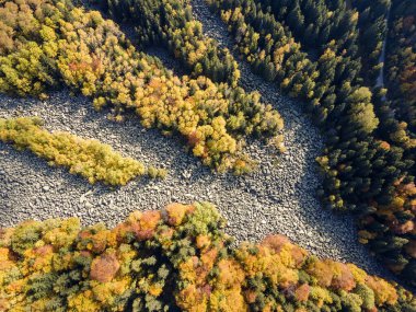 Bulgaristan 'ın başkenti Sofya' nın Vitosha Dağı 'ndaki Zlatnite Mostove (Altın Köprüler) adlı taştan nehrin hava sonbahar manzarası