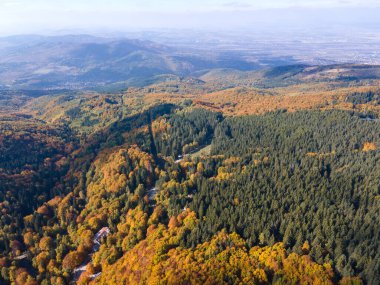 Bulgaristan 'ın başkenti Sofya' nın Vitosha Dağı 'ndaki Zlatnite Mostove (Altın Köprüler) adlı taştan nehrin hava sonbahar manzarası