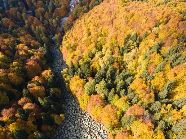 Bulgaristan 'ın başkenti Sofya' nın Vitosha Dağı 'ndaki Zlatnite Mostove (Altın Köprüler) adlı taştan nehrin hava sonbahar manzarası