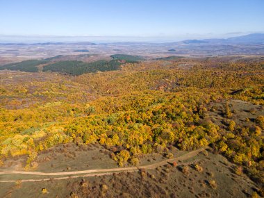 Sonbahar manzara Cherna Gora (Karadağ) Dağı, Pernik bölge, Bulgaristan