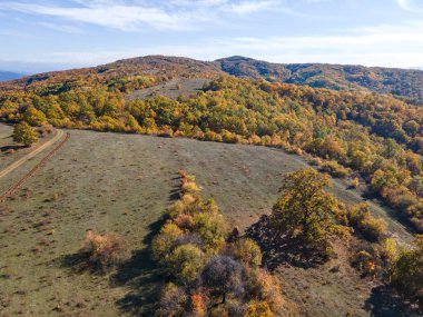 Sonbahar manzara Cherna Gora (Karadağ) Dağı, Pernik bölge, Bulgaristan