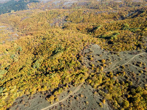 Sonbahar manzara Cherna Gora (Karadağ) Dağı, Pernik bölge, Bulgaristan