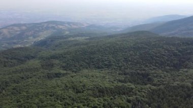 Bulgaristan 'ın Filibe Bölgesi, Rhodopes Dağı' ndaki Koprivkite bölgesinin havadan yaz manzarası