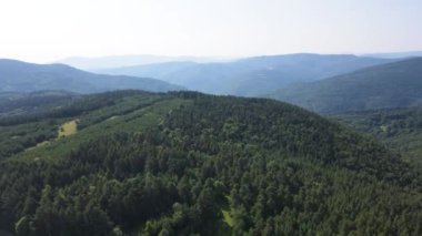 Bulgaristan 'ın Filibe Bölgesi, Rhodopes Dağı' ndaki Koprivkite bölgesinin havadan yaz manzarası