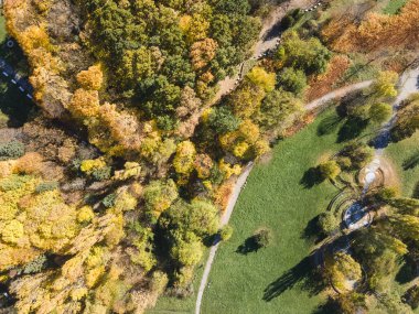 Bulgaristan 'ın Sofya kentindeki South Park' ın şaşırtıcı Sonbahar manzarası