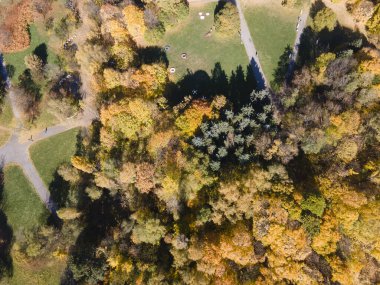 Bulgaristan 'ın Sofya kentindeki South Park' ın şaşırtıcı Sonbahar manzarası