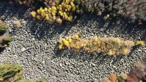 Pemandangan Udara Dari Sungai Batu Musim Gugur Dikenal Sebagai Zlatnite — Stok Video