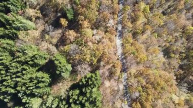 Bulgaristan 'ın Vitosha Dağı' nın İnanılmaz Sonbaharı