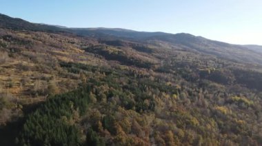 Bulgaristan 'ın Vitosha Dağı' nın İnanılmaz Sonbaharı