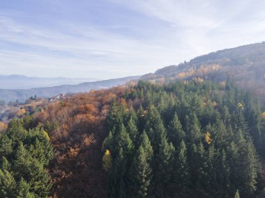Bulgaristan 'ın Kyustendil bölgesindeki Bogoslov köyü yakınlarındaki Eski Sequoia ormanlarının hava manzarası