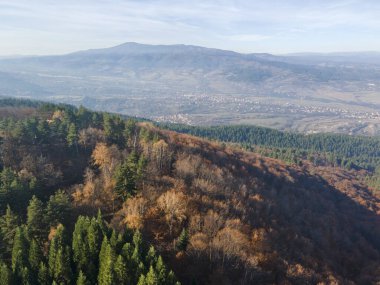 Bulgaristan 'ın Kyustendil bölgesindeki Bogoslov köyü yakınlarındaki Eski Sequoia ormanlarının hava manzarası