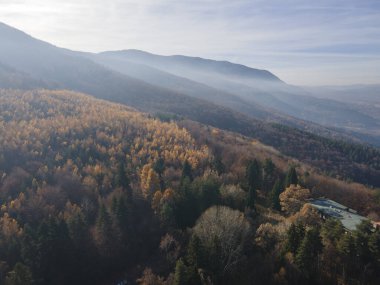 Bulgaristan 'ın Kyustendil bölgesindeki Bogoslov köyü yakınlarındaki Eski Sequoia ormanlarının hava manzarası