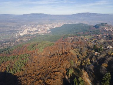 Bulgaristan 'ın Kyustendil bölgesindeki Bogoslov köyü yakınlarındaki Eski Sequoia ormanlarının hava manzarası