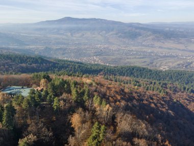 Bulgaristan 'ın Kyustendil bölgesindeki Bogoslov köyü yakınlarındaki Eski Sequoia ormanlarının hava manzarası