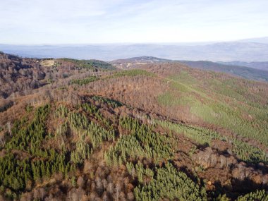 Osogovo Dağı 'nın hava manzarası, Kyustendil bölgesi, Bulgaristan